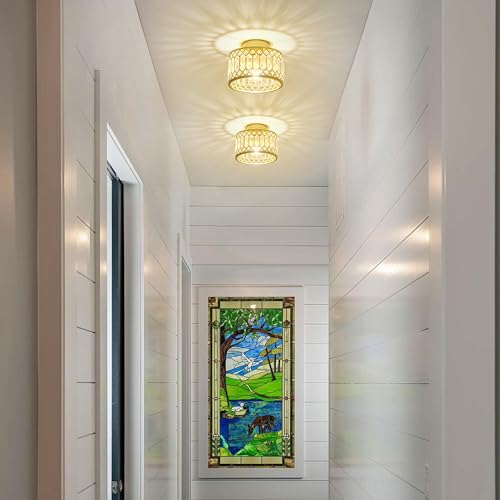 Crystal Ceiling Light