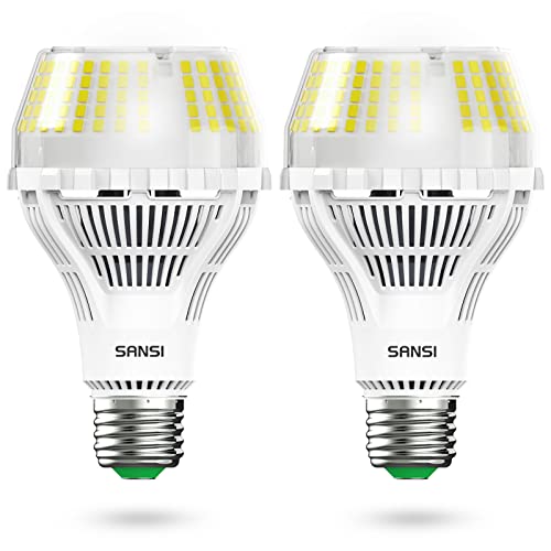 Dimmable LED Light Bulbs (2 Count)