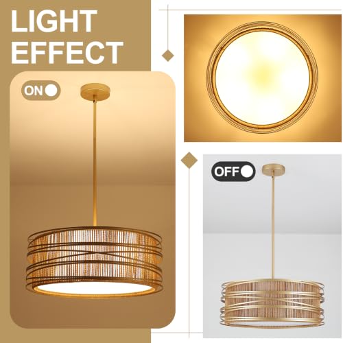19.7" Rattan Chandelier 5
