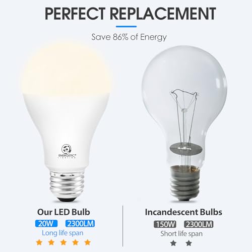 150 Watt LED Light Bulb (2 Count)