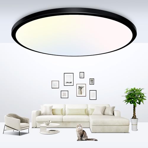 Black LED Flush Mount Ceiling Light