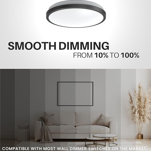 10" Matte Black LED Ceiling Light Flush Mount Lighting Fixture Dimmable Daylight for Bathroom Kitchen Laundry Room Closet