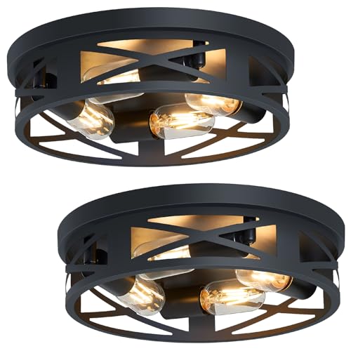 Flush Mount Ceiling Light Fixture (2 Count)