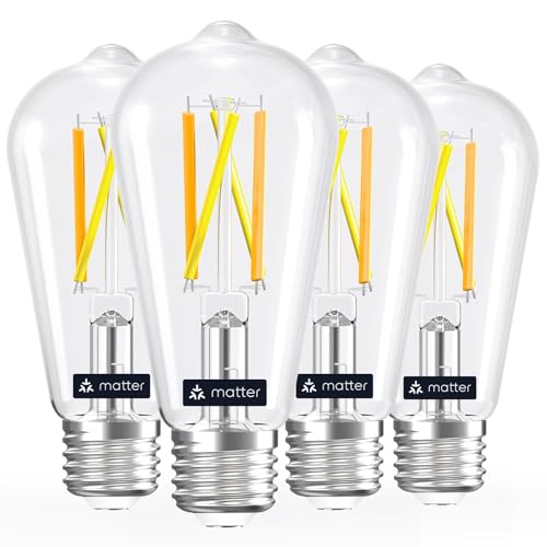 Matter Smart Edison Light Bulbs (4 Count)
