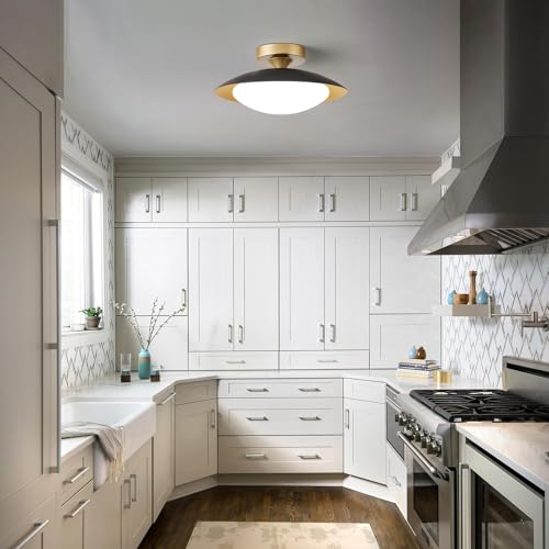 Dimmable Modern Mid