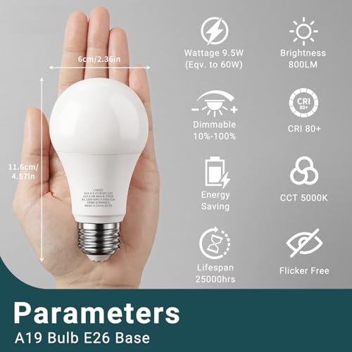 LED Light Bulb (6 Count)