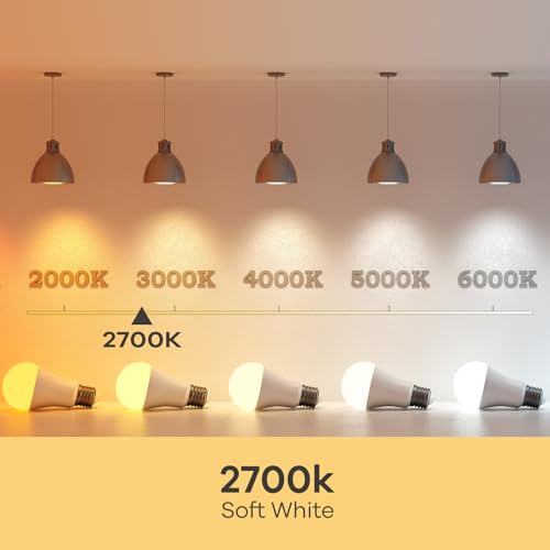 A19 LED Light Bulbs (24 Count)