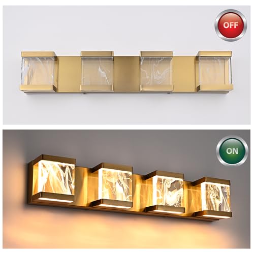 4 Lights LED Bathroom Vanity Light with Unique Smoke Acrylic Panel