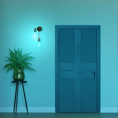 ST21 LED Smart LED Light Bulb (3 Count)