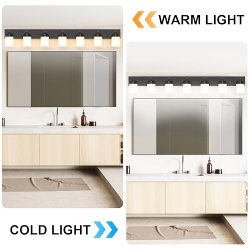 Bathroom Vanity Light Fixture
