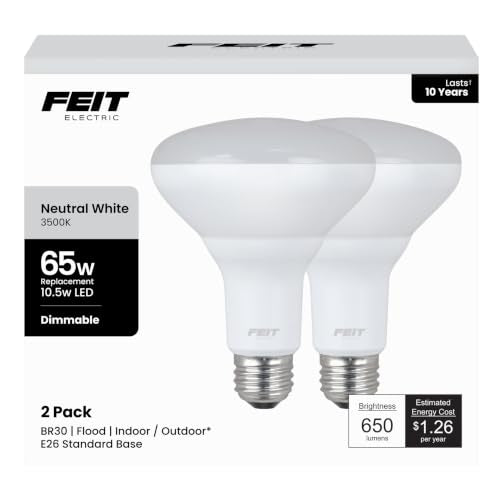 BR30 LED Flood Light Bulb (2 Count)