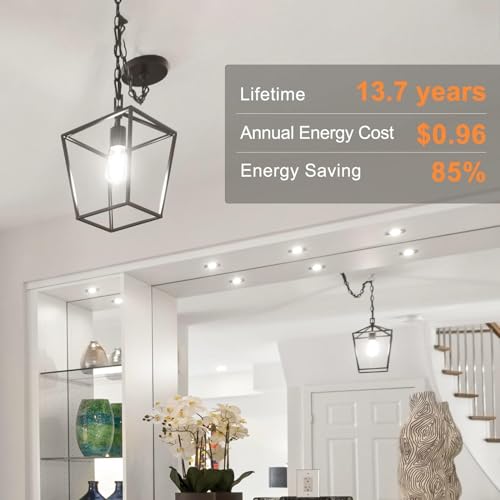 4 Pack Edison LED Light Bulbs (4 Count)