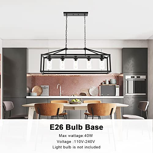 Kitchen Island Lighting 5 Light Modern Farmhouse Metal Cage Chandeliers with Clear Glass Shade Black Industrial Rectangle Dining Room Light Fixture Hanging Pendant Lamp for Foyer Bar Entryway