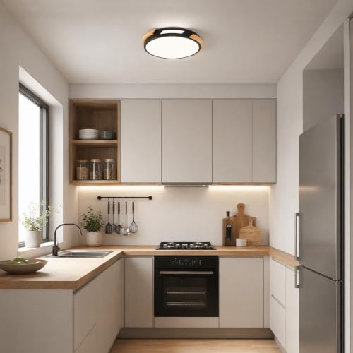 Modern LED Ceiling Light
