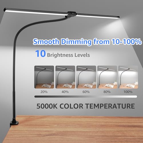 LED Desk Lamp for Home Office