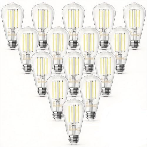 LED Edison Light Bulbs (20 Count)