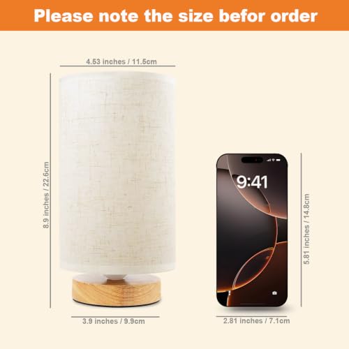 Small Bedside Table Lamp for Bedroom