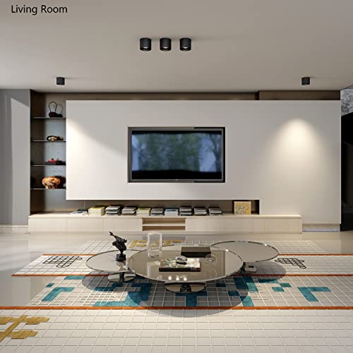 Ceiling Light Fixture