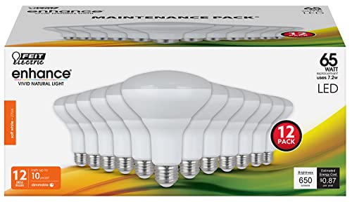 BR30 LED Light Bulbs (12 Count)