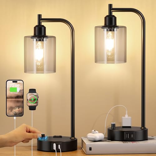 Industrial Desk Lamps for Office Set of 2 (2 Count)