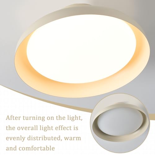 Modern LED Ceiling Light
