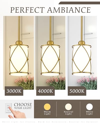 Brushed Gold Pendant Lights Kitchen Island (2 Count)