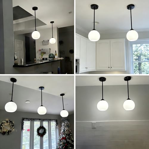2 Pack Globe Pendant Lights (2 Count)