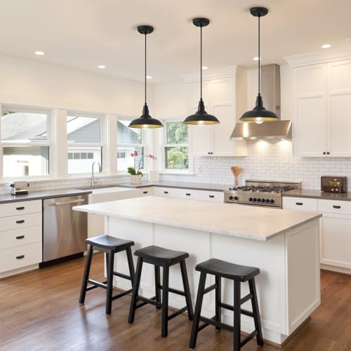 Farmhouse Pendant Lights with 10 Inch Dome