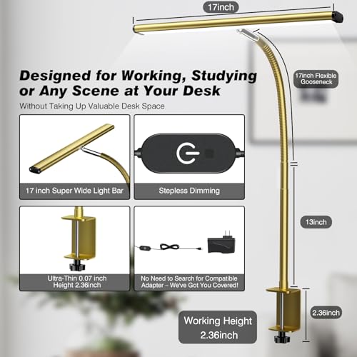 LED Desk Lamp with Clamp