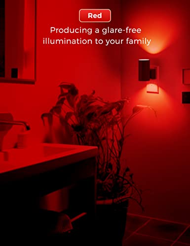 Red Night Light (4 Count)