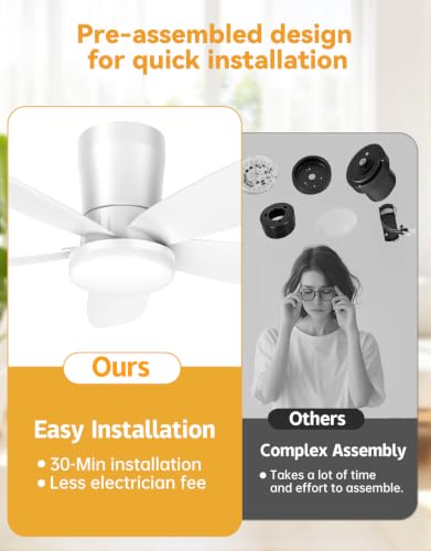 Ceiling Fans with Lights