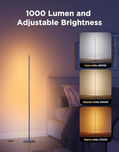 RGBIC Floor Lamp Basic