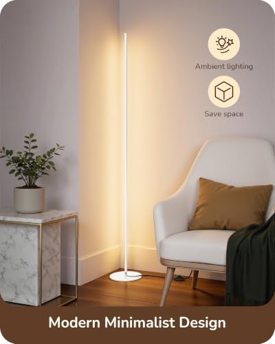 2 Pack 57.5” Floor Lamps with Remote (2 Count)