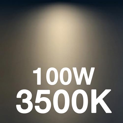 100W Equivalent LED Candelabra Bulbs (24 Count)
