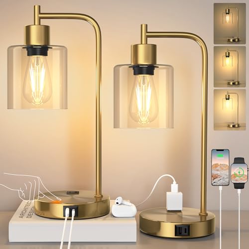 Set of 2 Industrial Table Lamps (2 Count)