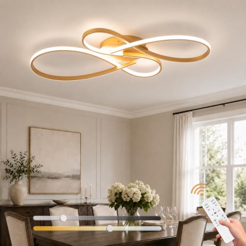 66W Dimmable Modern LED Ceiling Light Fixtures 3000K