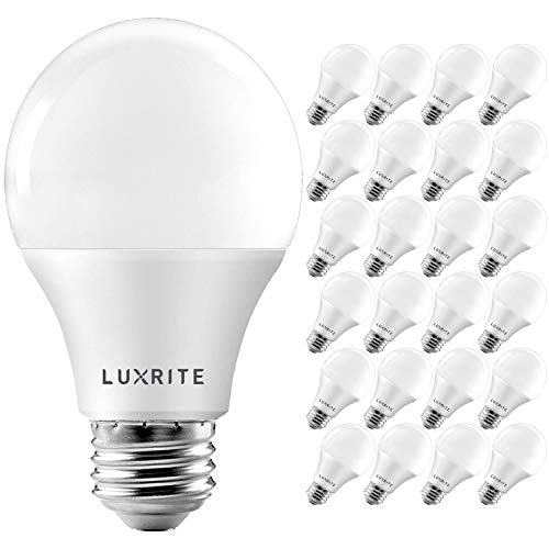 A19 LED Light Bulb 60W Equivalent 800LM 4000K Cool White (24 Count)