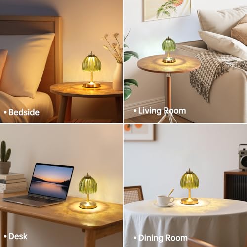 Set of 2 Tulip Table Lamp with 5200mAh Battery & Touch Control (2 Count)