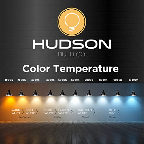 Vintage Incandescent Edison Light Bulbs (4 Count)