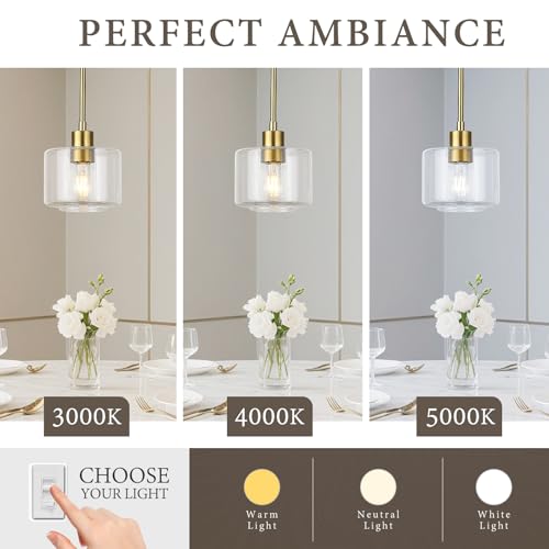 Brushed Gold Pendant Lights Kitchen Island 2 Pack (2 Count)