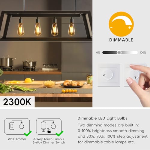 Edison Bulbs E26 LED Bulb 60 Watt Equivalent
