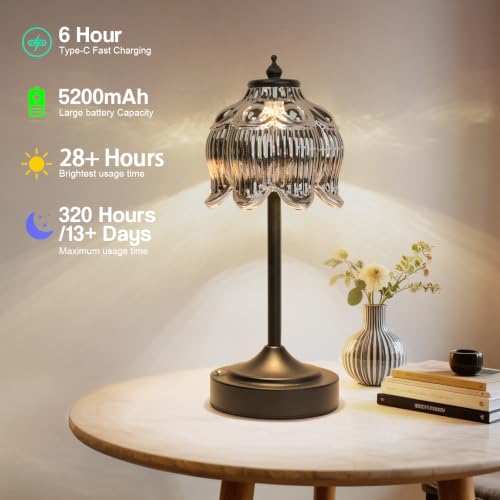 Cordless Table Lamp