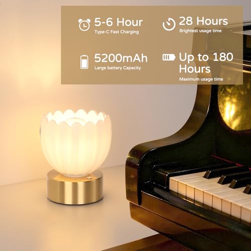 Cordless Small Table Lamp with 5200mAh Battery & Touch Control