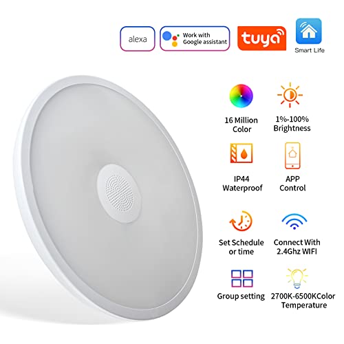 Smart Waterproof LED Flush Mount Ceiling Light Fixture