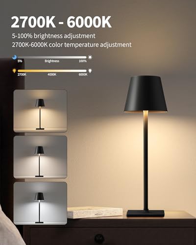 2 Pack Cordless Black Table Lamps (2 Count)