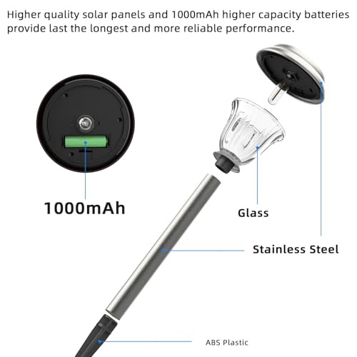 Solar Lights Outdoor (6 Count)