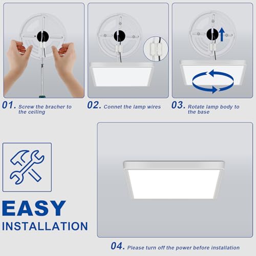 2 Pack 12 inch Flush Mount Ceiling Light (2 Count)