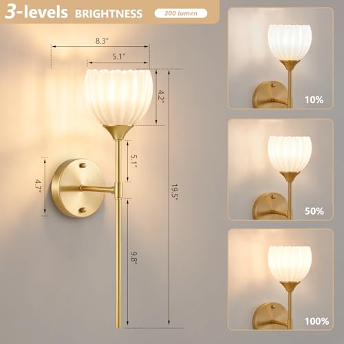 Vintage Battery Operated Wall Sconce Set of 2 (2 Count)