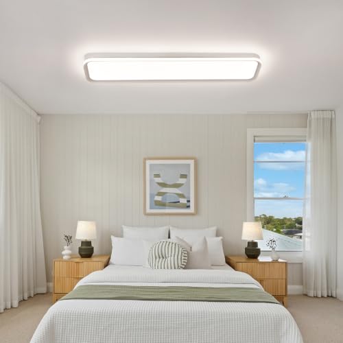 Modern LED Ceiling Light