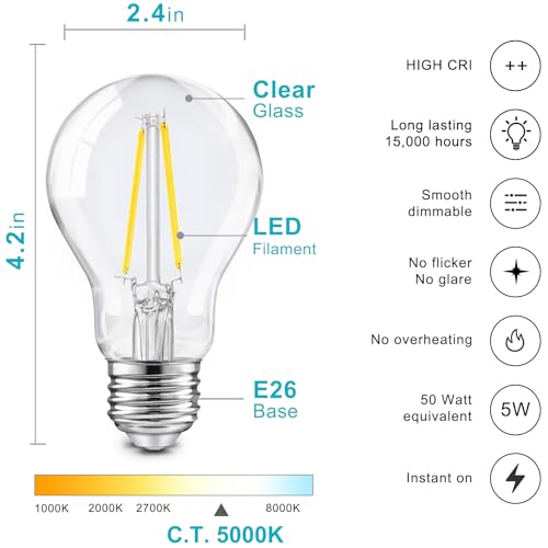 6 Pack A19 Vintage LED Edison Bulbs (6 Count)